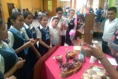 Degustaciones Quimica Organica-Instituto Zoila (1)