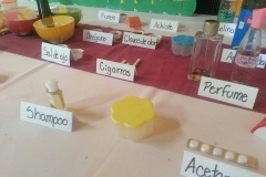 Degustaciones Quimica Organica-Instituto Zoila (15)