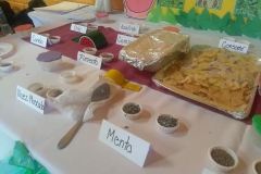 Degustaciones Quimica Organica-Instituto Zoila (18)