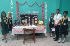 Degustaciones Quimica Organica-Instituto Zoila (26)