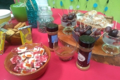 Degustaciones Quimica Organica-Instituto Zoila (27)