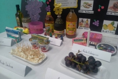 Degustaciones Quimica Organica-Instituto Zoila (34)