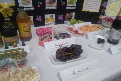 Degustaciones Quimica Organica-Instituto Zoila (9)