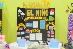 Ferias Naturales Instituto Zoila 2018 (109)