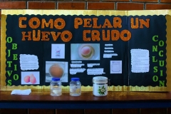 Ferias Naturales Instituto Zoila 2018 (111)