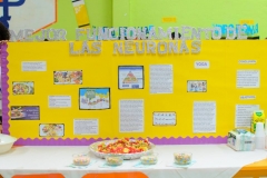 Ferias Naturales Instituto Zoila 2018 (125)