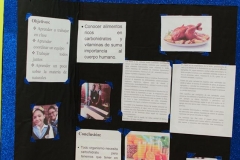 Ferias Naturales Instituto Zoila 2018 (126)