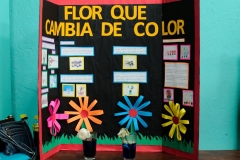 Ferias Naturales Instituto Zoila 2018 (132)