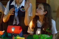 Ferias Naturales Instituto Zoila 2018 (46)