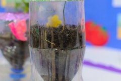 Ferias Naturales Instituto Zoila 2018 (67)