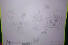 Concurso de Dibujo Honduras Te Necesita_ Instituto Zoila (3)