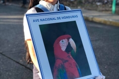 15-septiembre-2019_Instituto-Zoila-70