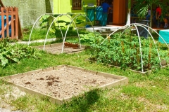 Jardin IZDSP_Instituto Zoila (7)