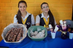 Microempresas-Instituto Zoila D. Santos Pineda (2)