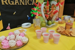 III-Feria-Quimica-Organica_Instituto-Zoila-8